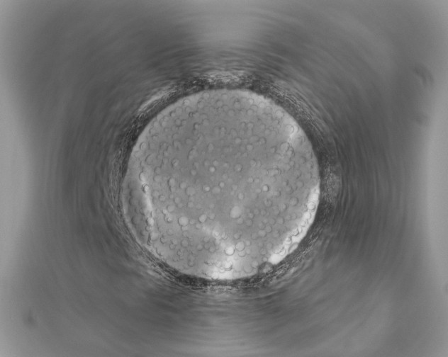X0000111241297200908131135