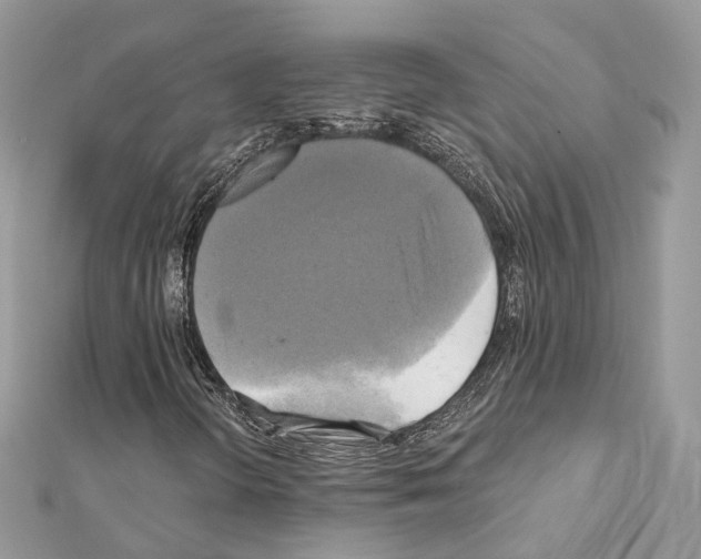 X0000111241298200908131135