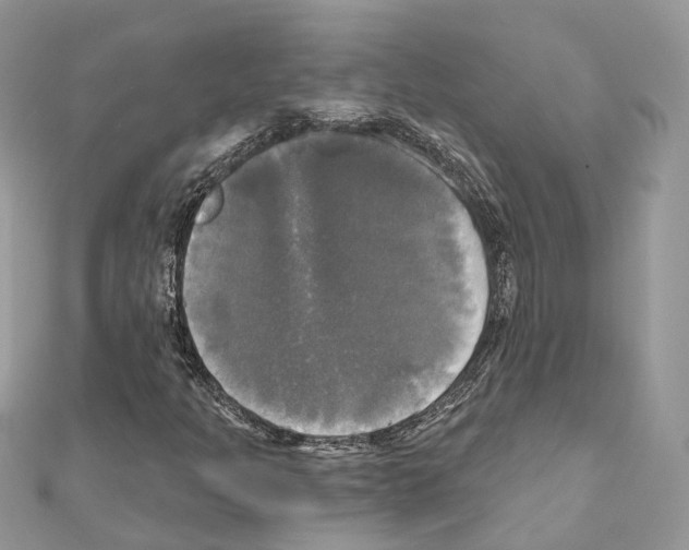 X0000111241301200908131135