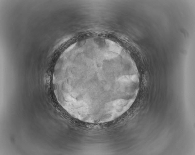 X0000111241302200908131135