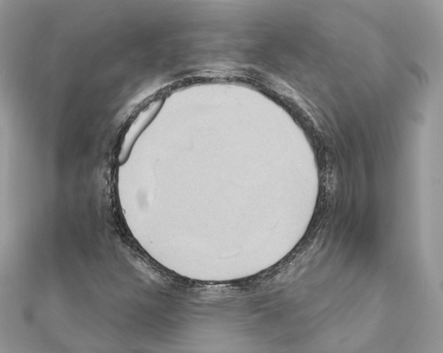 X0000111241304200908131135