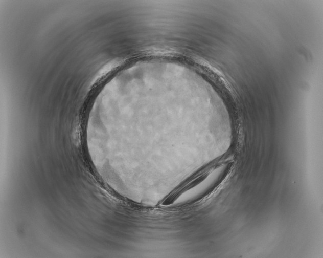 X0000111241306200908131135