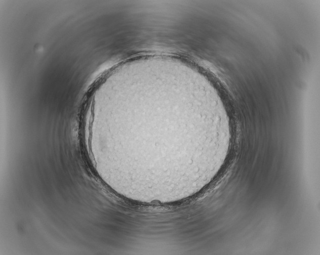 X0000111241307200908131135