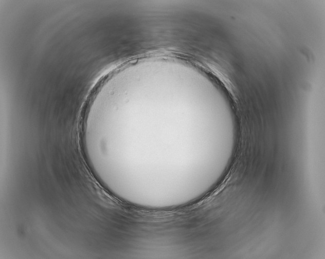 X0000111241308200908131135