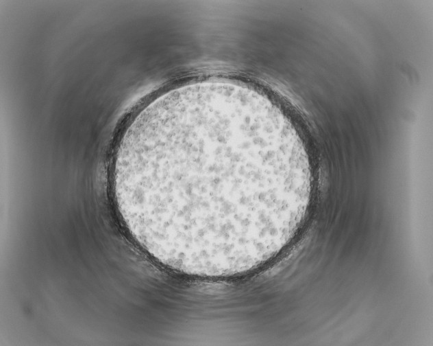 X0000111241309200908131135