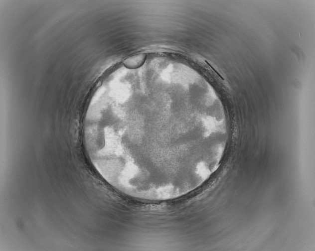 X0000111241313200908131135