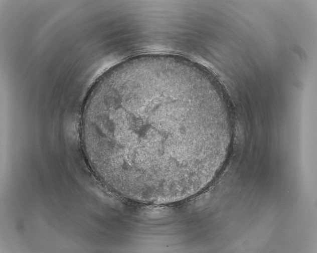 X0000111241314200908131135