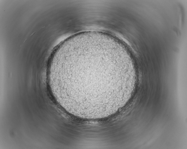 X0000111241315200908131135