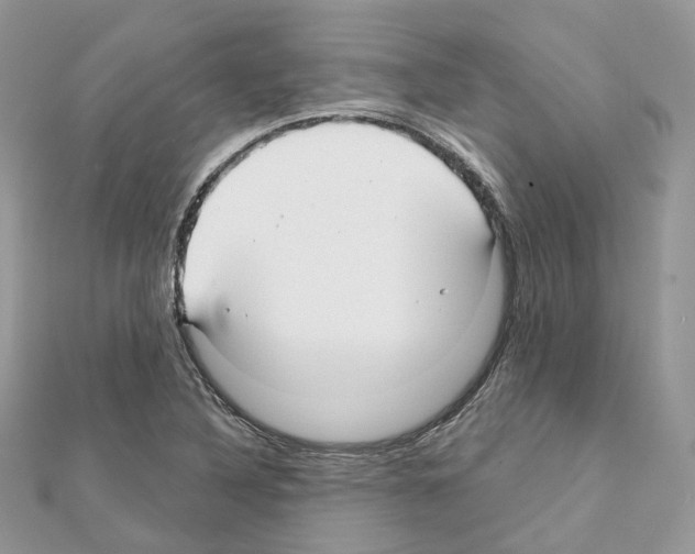 X0000111241316200908131135