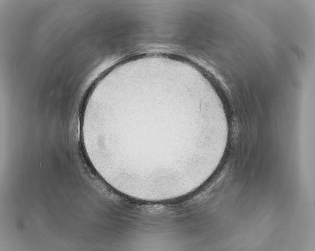 X0000111241317200908131135