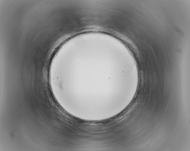 X0000111241318200908131135