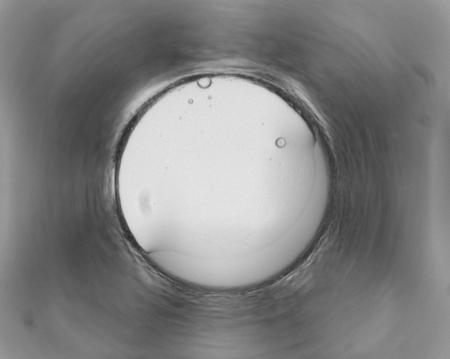 X0000111241320200908131135