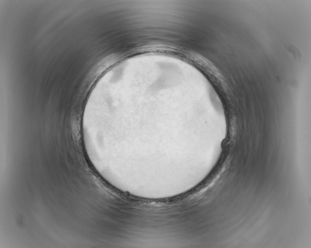 X0000111241321200908131135