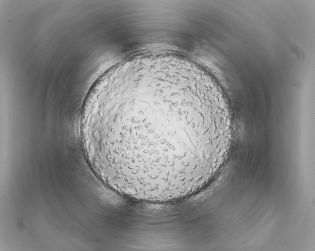 X0000111241322200908131135