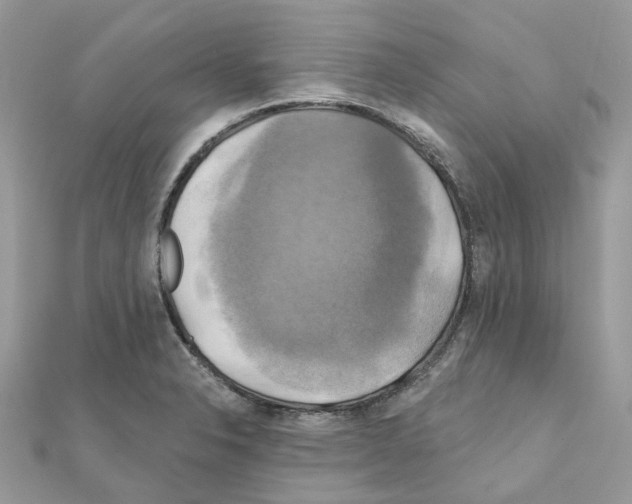 X0000111241326200908131135