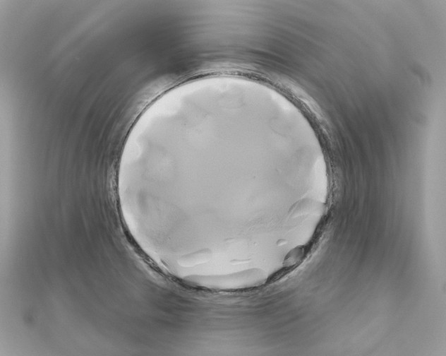 X0000111241329200908131135