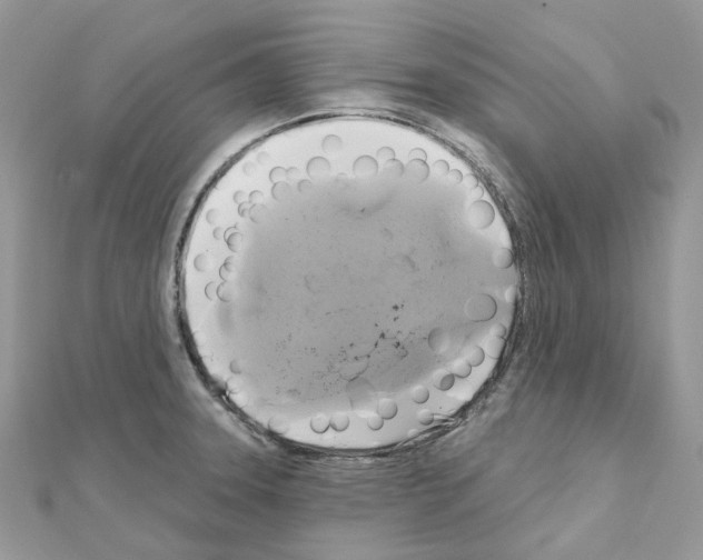 X0000111241331200908131135