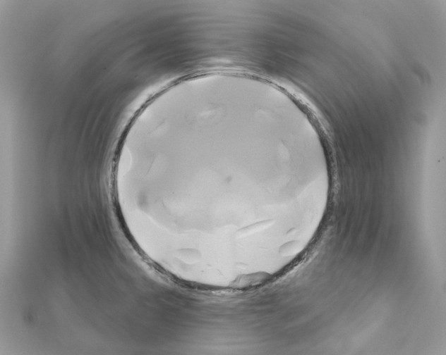 X0000111241333200908131135