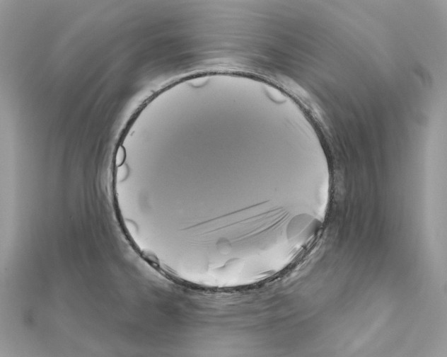 X0000111241334200908131135