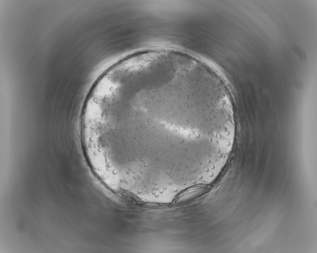 X0000111241335200908131135