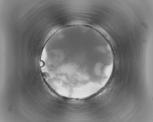 X0000111241337200908131135