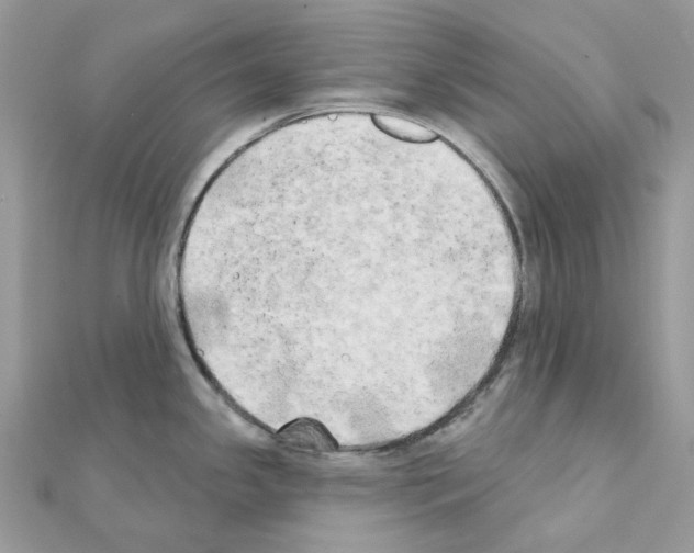 X0000111241341200908131135