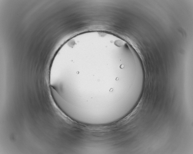 X0000111241342200908131135