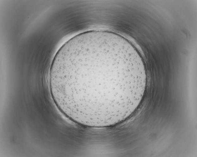 X0000111241343200908131135