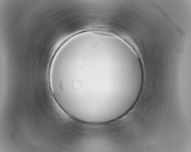 X0000111241344200908131135