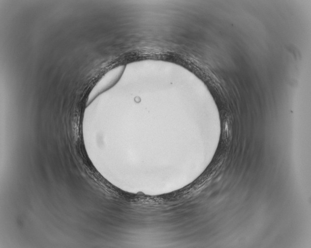 X0000111241348200908131135