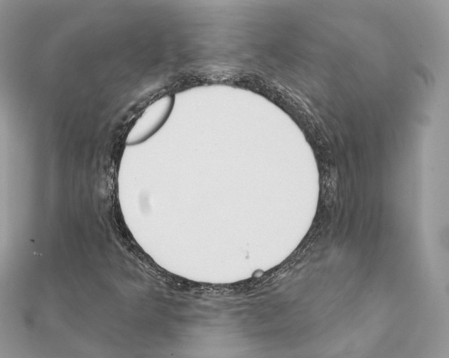 X0000111241349200908131135