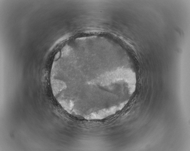 X0000111241351200908131135