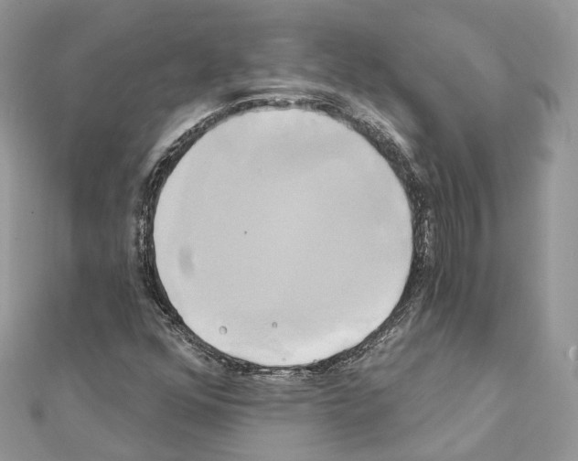 X0000111241352200908131135