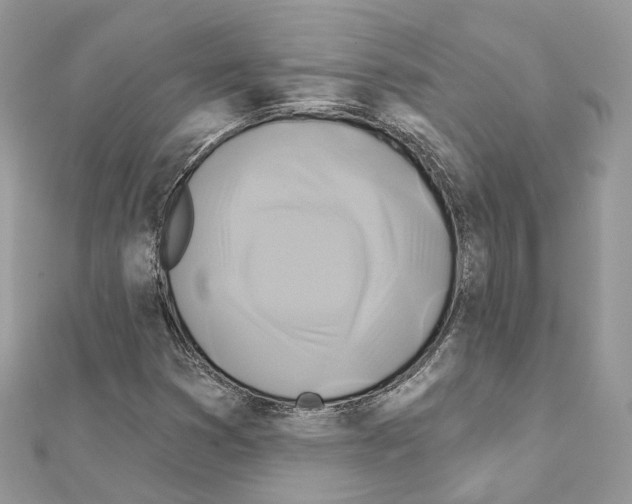 X0000111241353200908131135