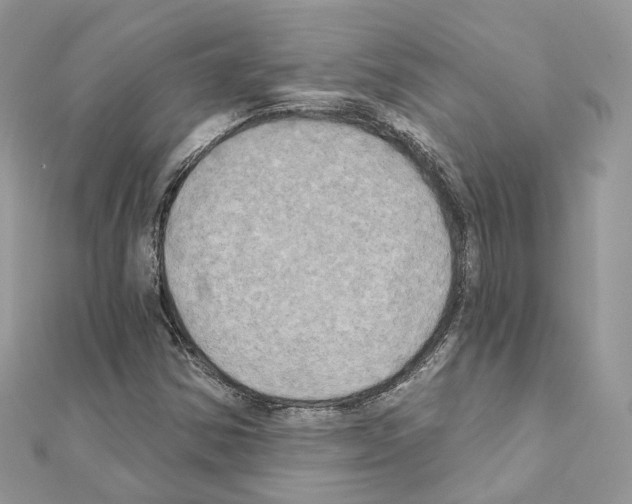 X0000111241354200908131135