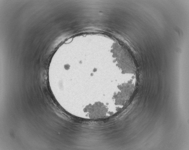 X0000111241355200908131135