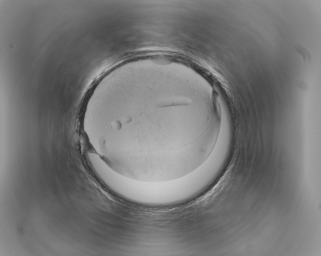 X0000111241357200908131135
