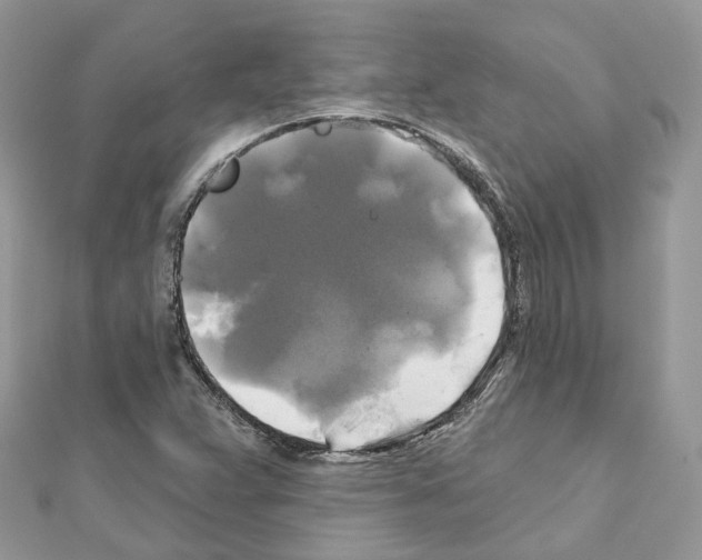 X0000111241359200908131135