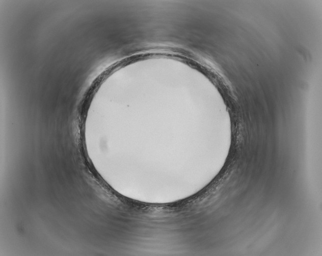 X0000111241360200908131135