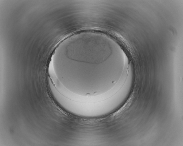 X0000111241361200908131135