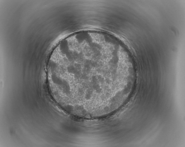 X0000111241363200908131135