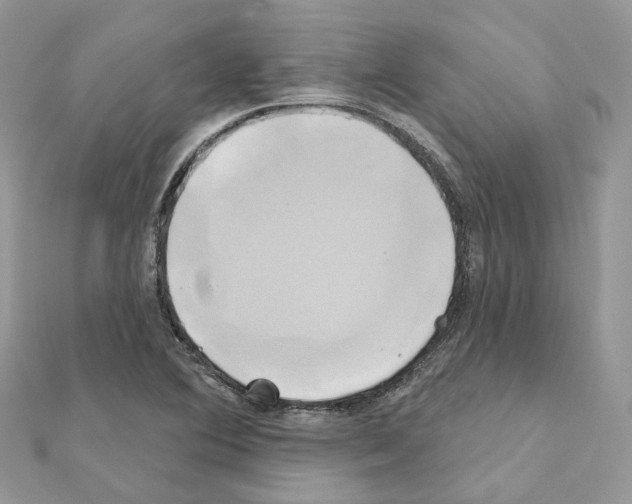 X0000111241364200908131135