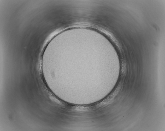 X0000111241366200908131135