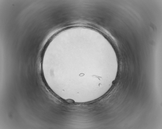 X0000111241368200908131134