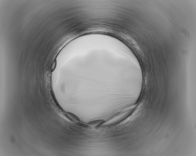 X0000111241369200908131134