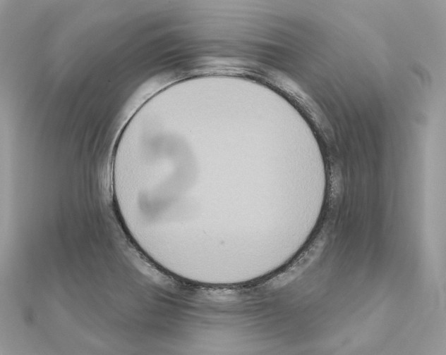 X0000111241370200908131134