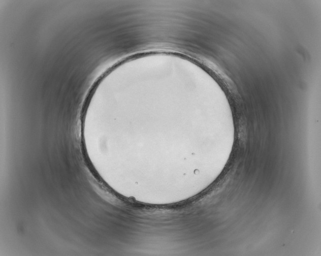 X0000111241372200908131134