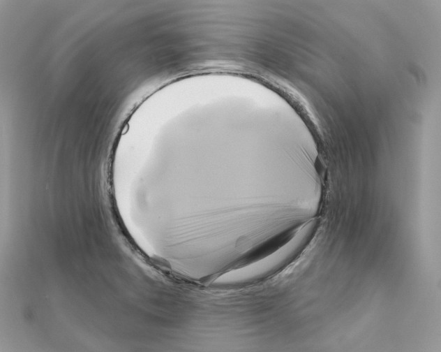 X0000111241373200908131134
