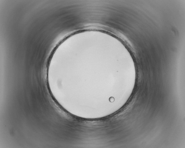 X0000111241376200908131134