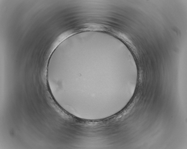 X0000111241378200908131134